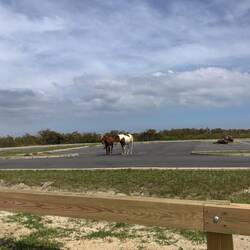 Die beiden Models auf dem Parkplatz