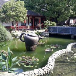 Tea gardens