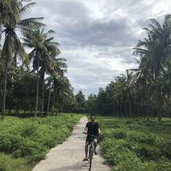 Morning cycle