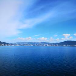 Hallo Wellington!
