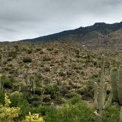 The Desert Can Be Pretty In Its Own Way!