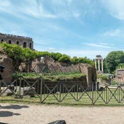 The Roman Forum