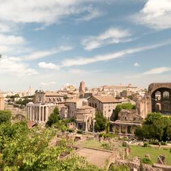 View of the Roman Forum from the Palatine