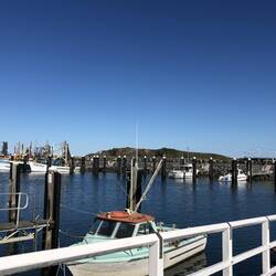 Marina; Coffs Harbour