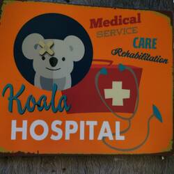 Koala Hospital Port Macquarie