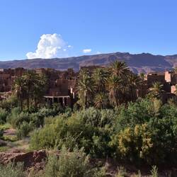 In der Todra Schlucht