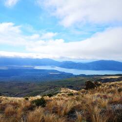 Auf dem Rückweg - Lake Rotoaira