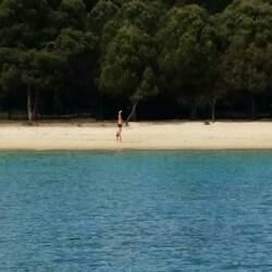 Bäume säumen den Strand