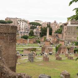 Roman Forum - Basilica Julia