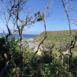 Kings Beach; Byron Bay