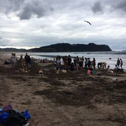 Hot water beach