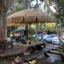 Tree House; Byron Bay