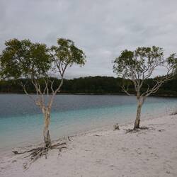 Lake Mckenzie