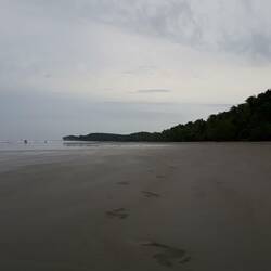 Leave nothing but footprints... 👣