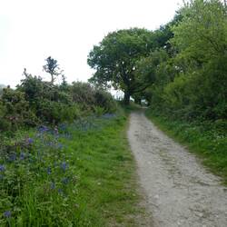 Our feet sighed with relief at the sight of a softer surface