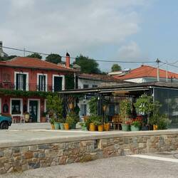 Unsere Taverne am Hafen