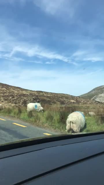 Tschüssi Glenveagh Nationalpark 🥺