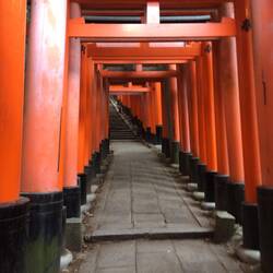 Fushimi Inara