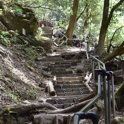 They love their stairs in Japan