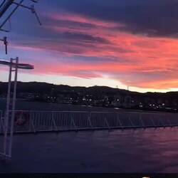Wellington sunset
