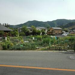 Urban farm - perfect permaculture principles