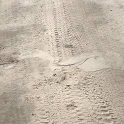 Snake trail
