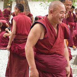 Monks gather in a peaceful courtyard to exchange their views.
