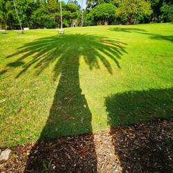 Im Botanischen Garten