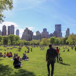 Diese volle Grünfläche im Central Park heißt passenderweise übersetzt Schafweide