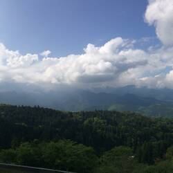 View from the lookout at the start.