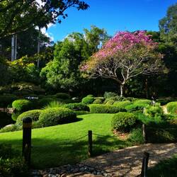 Im Botanischen Garten am Mount Coot-Tha