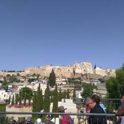 View from City of David looking up to the Temple Mount walls
