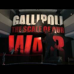 Te Papa Museum