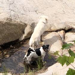 Auch Ruby kämpfte sich zum Wasser runter