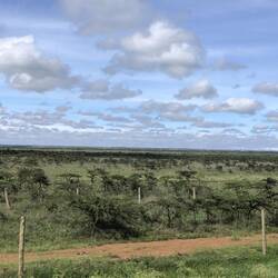 Nairobi National Park