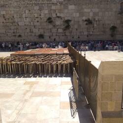 Partition between men and women sections