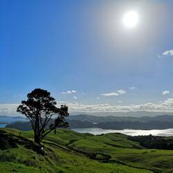 Coromandel Coastline