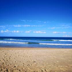 Manly Beach