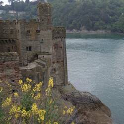 Remains of Dartmouth Castle