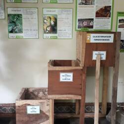 1.: Fermentation der Kakaobohnen