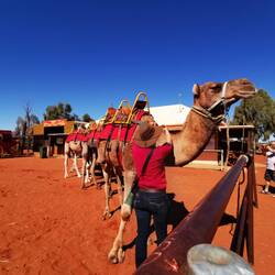 Kamel-Reiten ist hier sehr beliebt