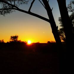 Sonnenuntergang am Campingground King Creek Station