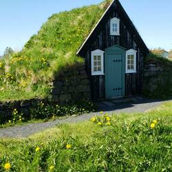 Original thatched roof homes