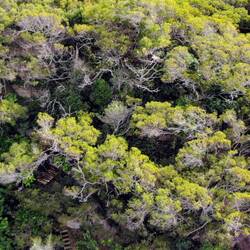 Gut versteckt he? 😅