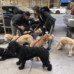 Das ist auch ein cooler Job. 30$ pro Tag fürs Hundebetreuen