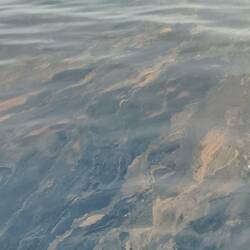 Saharastaub in dicken Schlieren auf dem Wasser