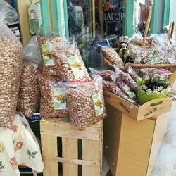 Pistazien über Pistazien gibt es auf Aigina