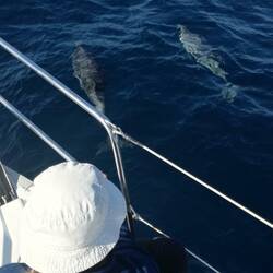 Ein Spektakel, bei dem wir Stunden zusahen