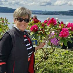 Azaleas everywhere...glorious!