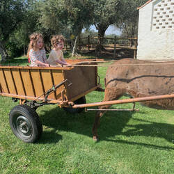 taking the donkey for a ride